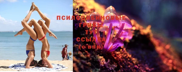 прущие грибы Абаза