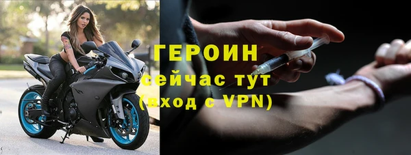 прущие грибы Абаза