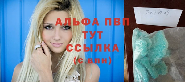 прущие грибы Абаза