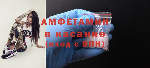 прущие грибы Абаза