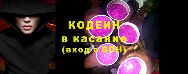 прущие грибы Абаза