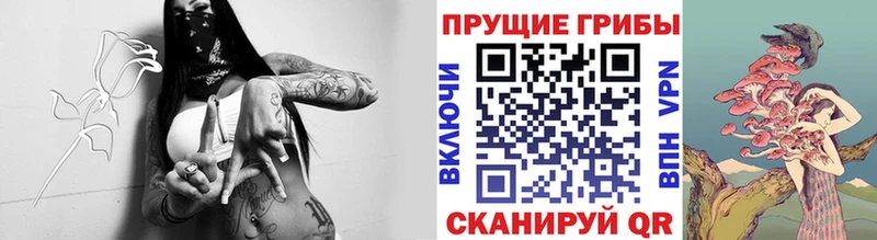 как найти закладки  Киренск  Псилоцибиновые грибы мухоморы 